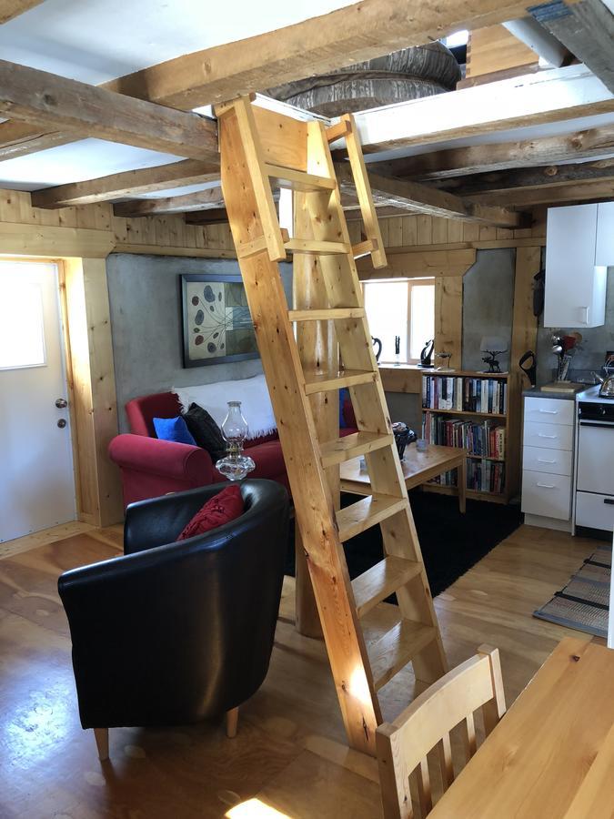 Jade City Vines And Puppies Hideaway Bed & Breakfast エクステリア 写真
