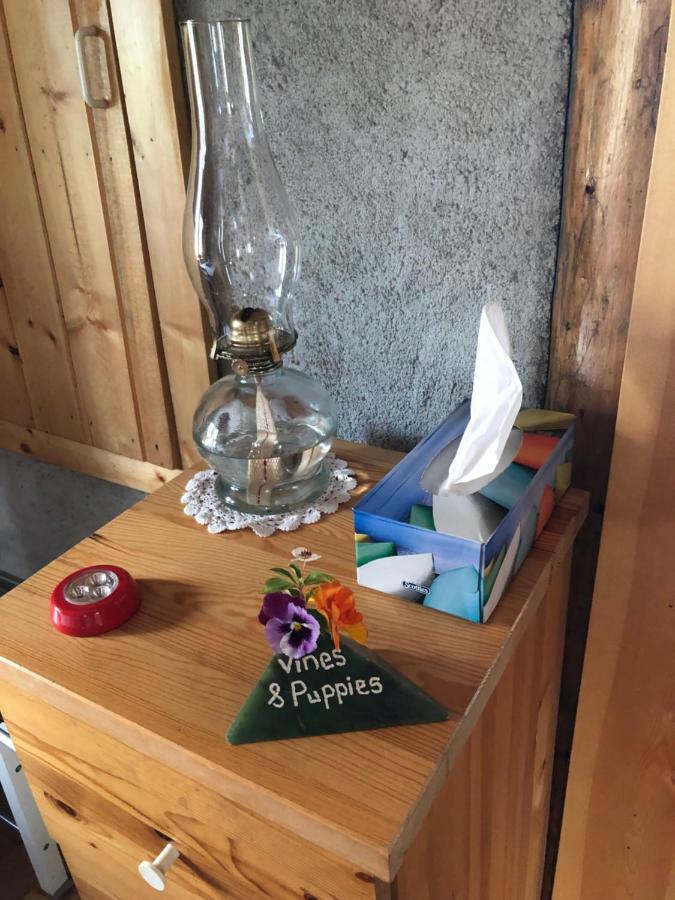 Jade City Vines And Puppies Hideaway Bed & Breakfast エクステリア 写真